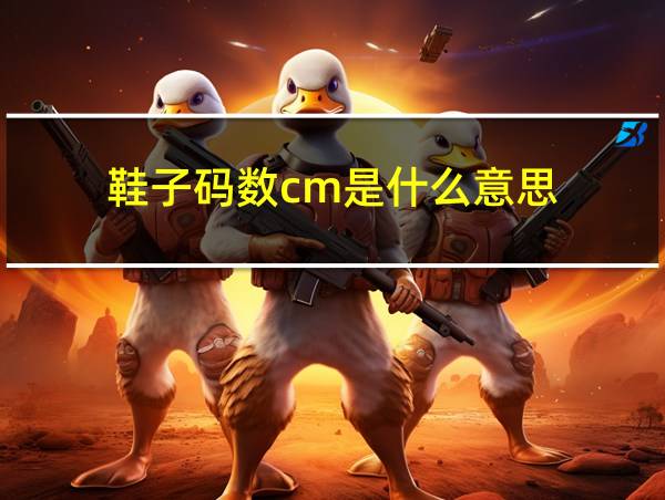 鞋子码数cm是什么意思的相关图片