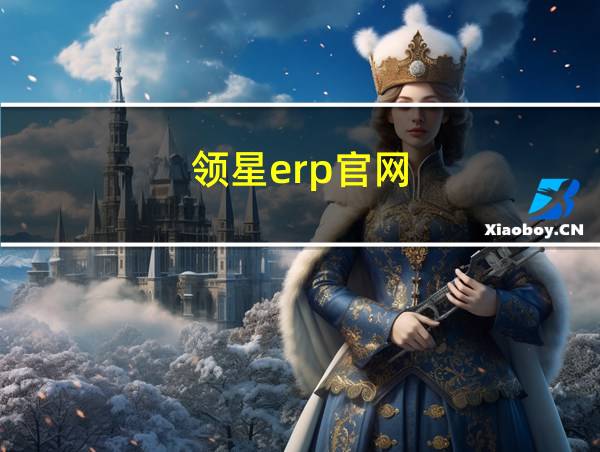 领星erp官网的相关图片