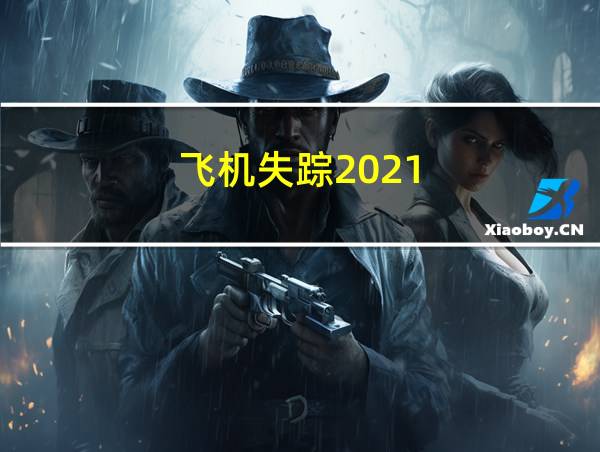 飞机失踪2021的相关图片