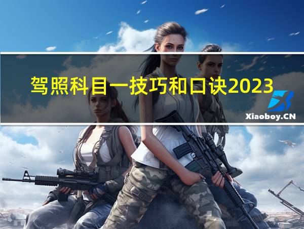 驾照科目一技巧和口诀2023的相关图片