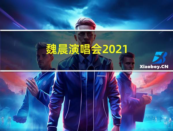 魏晨演唱会2021的相关图片