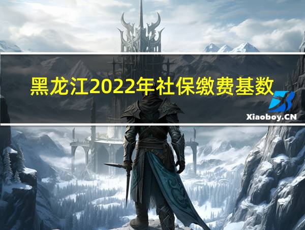 黑龙江2022年社保缴费基数标准的相关图片