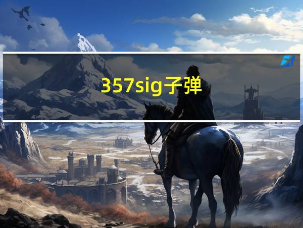 .357sig子弹的相关图片