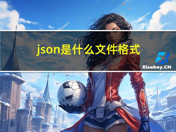 .json是什么文件格式的相关图片