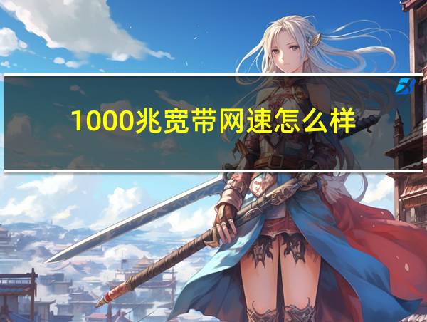 1000兆宽带网速怎么样的相关图片