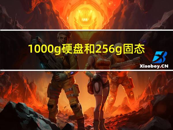 1000g硬盘和256g固态哪个好的相关图片