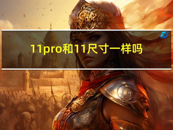 11pro和11尺寸一样吗的相关图片