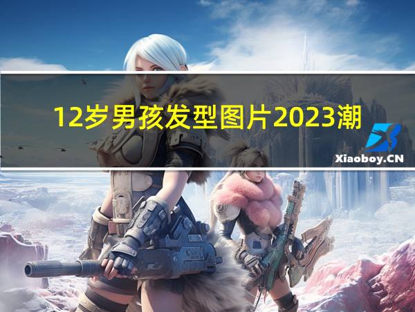 12岁男孩发型图片2023潮流帅气图的相关图片