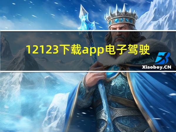 12123下载app电子驾驶证的相关图片