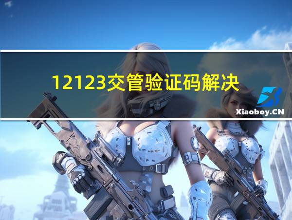 12123交管验证码解决的相关图片