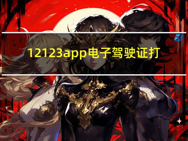 12123app电子驾驶证打不开的相关图片