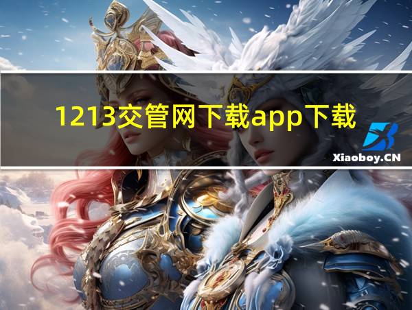 1213交管网下载app下载安装的相关图片