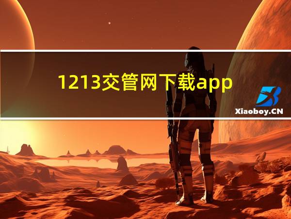 1213交管网下载app的相关图片