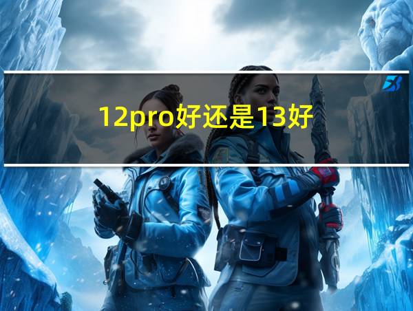 12pro好还是13好的相关图片