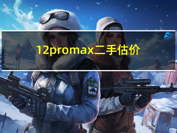 12promax二手估价的相关图片