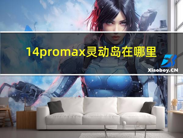 14promax灵动岛在哪里设置的相关图片