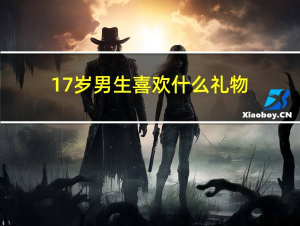 17岁男生喜欢什么礼物的相关图片