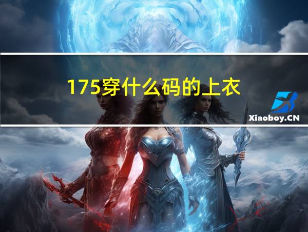 175穿什么码的上衣的相关图片