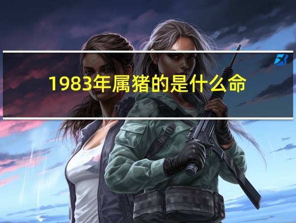 1983年属猪的是什么命的相关图片