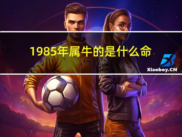 1985年属牛的是什么命的相关图片