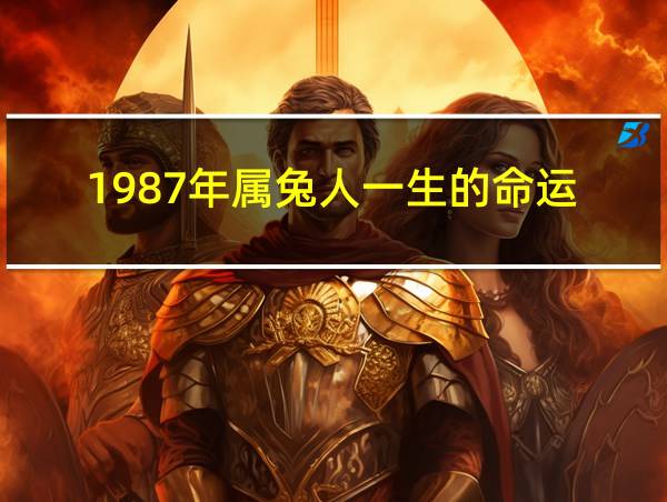 1987年属兔人一生的命运的相关图片