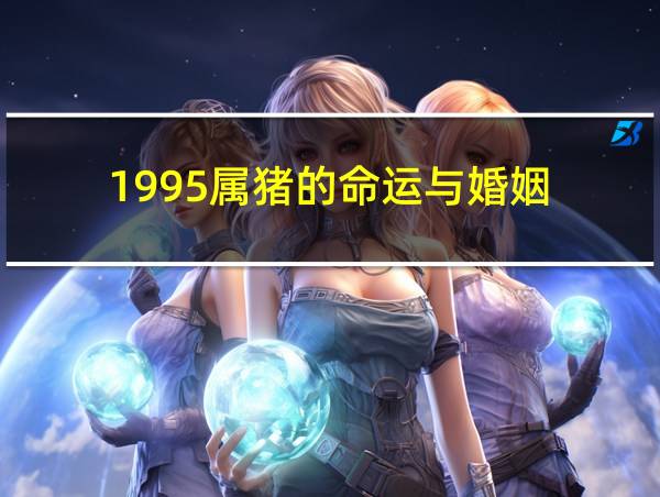 1995属猪的命运与婚姻的相关图片