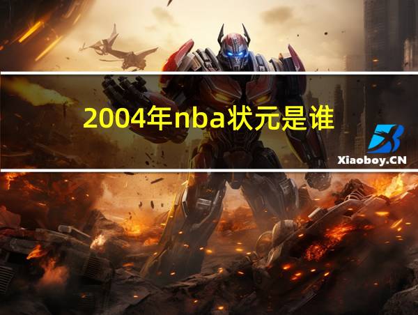 2004年nba状元是谁的相关图片