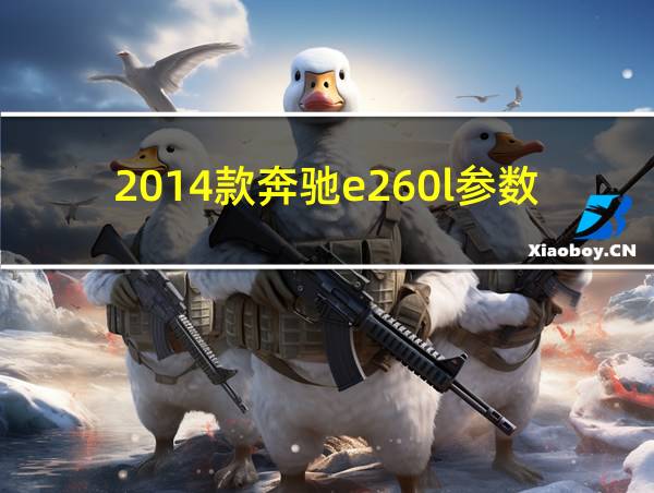 2014款奔驰e260l参数的相关图片