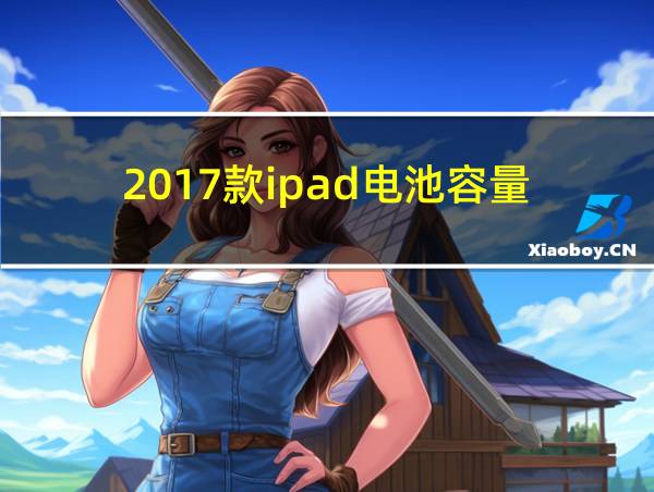 2017款ipad电池容量的相关图片