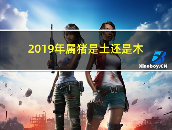 2019年属猪是土还是木的相关图片