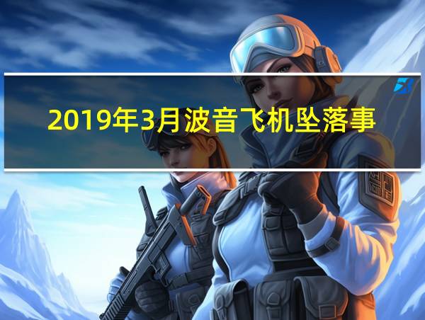 2019年3月波音飞机坠落事件的相关图片