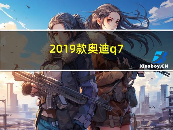 2019款奥迪q7的相关图片