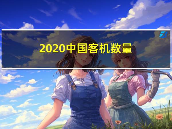 2020中国客机数量的相关图片