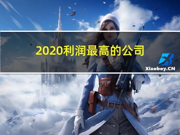 2020利润最高的公司的相关图片