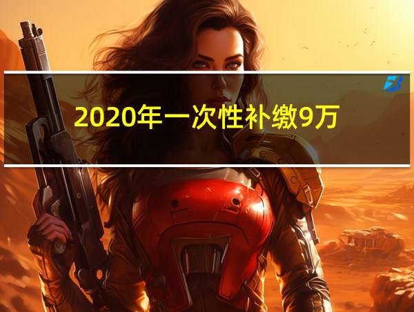 2020年一次性补缴9万的相关图片