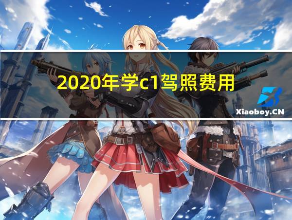 2020年学c1驾照费用的相关图片