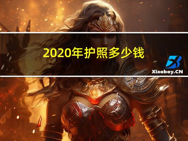 2020年护照多少钱的相关图片