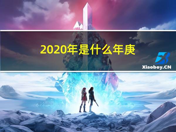 2020年是什么年庚的相关图片