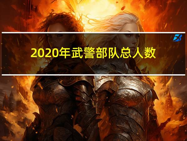 2020年武警部队总人数的相关图片