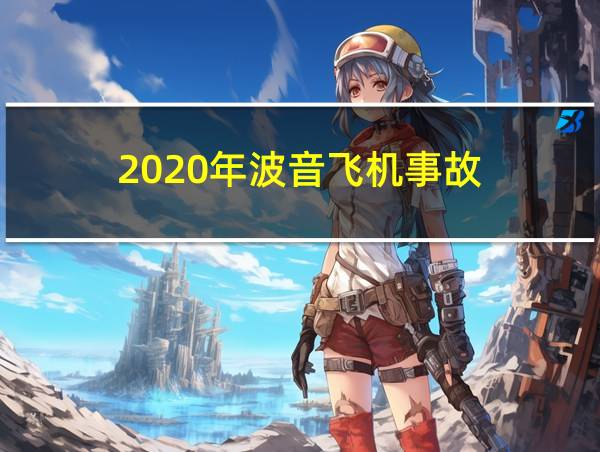 2020年波音飞机事故的相关图片