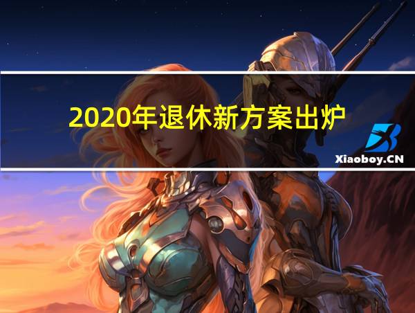 2020年退休新方案出炉的相关图片