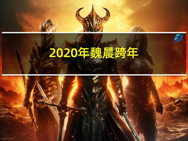 2020年魏晨跨年的相关图片