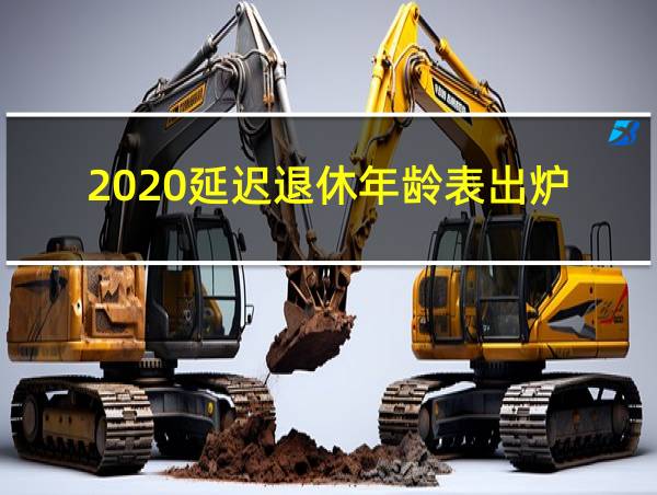 2020延迟退休年龄表出炉的相关图片