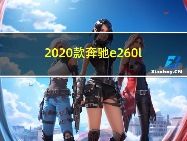 2020款奔驰e260l的相关图片