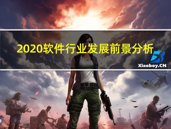 2020软件行业发展前景分析的相关图片