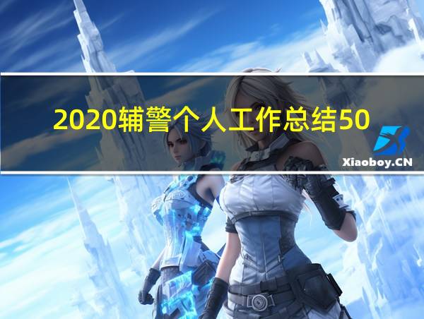 2020辅警个人工作总结500字的相关图片