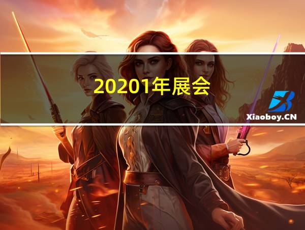 20201年展会的相关图片