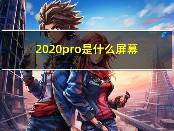 2020pro是什么屏幕的相关图片