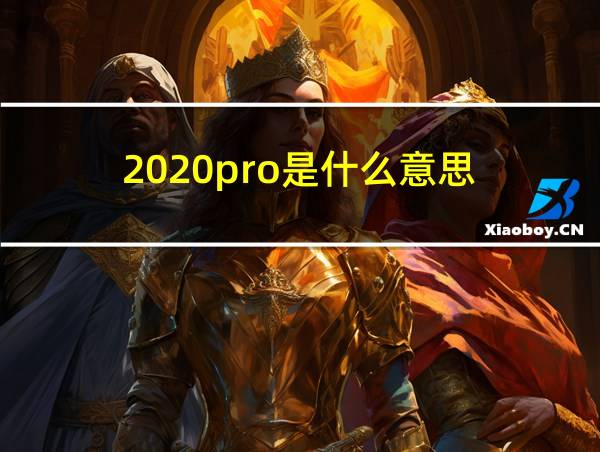 2020pro是什么意思的相关图片