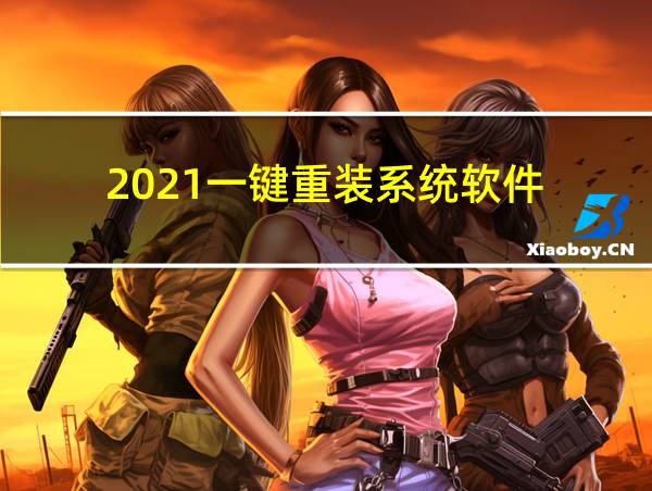 2021一键重装系统软件的相关图片